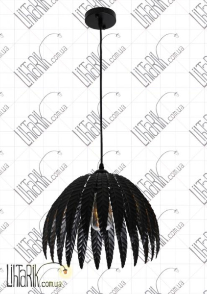 Levistella 761SY01-1