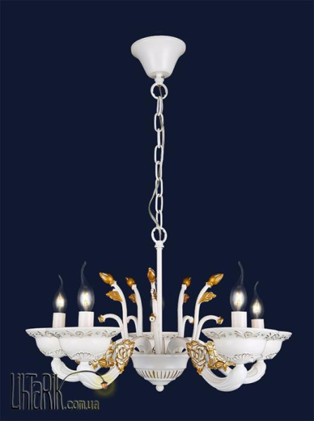 Levistella 74990829-5 WT